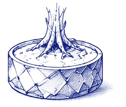 Pots