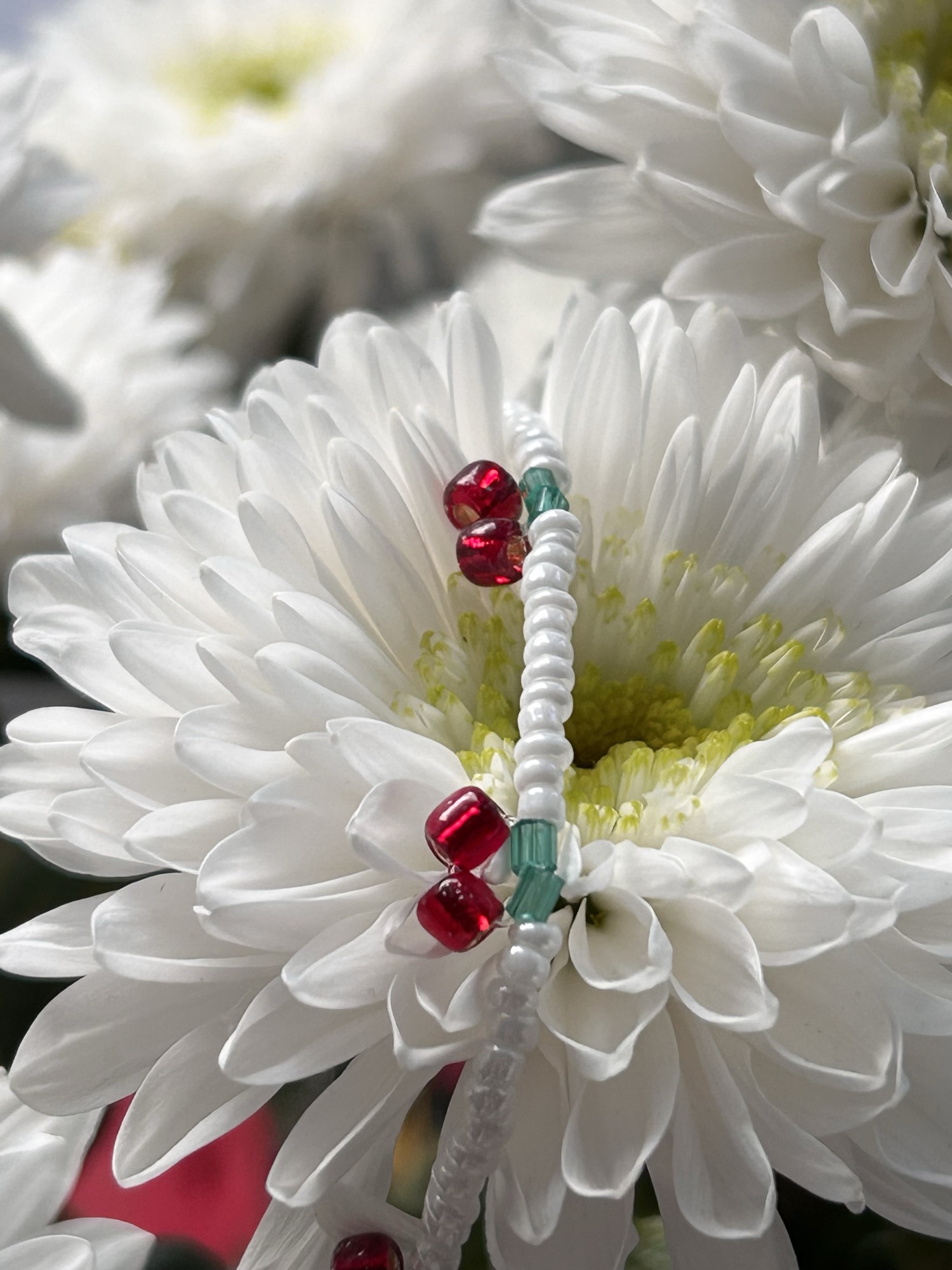 Brooch · Sakura