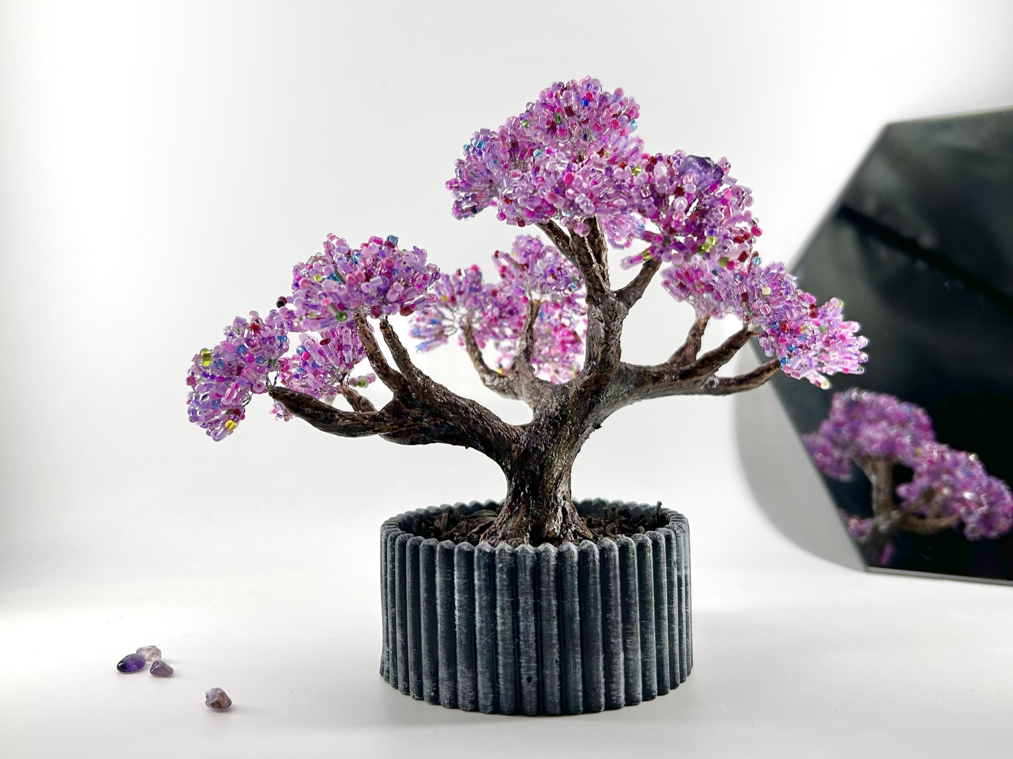 Cherry · Spring