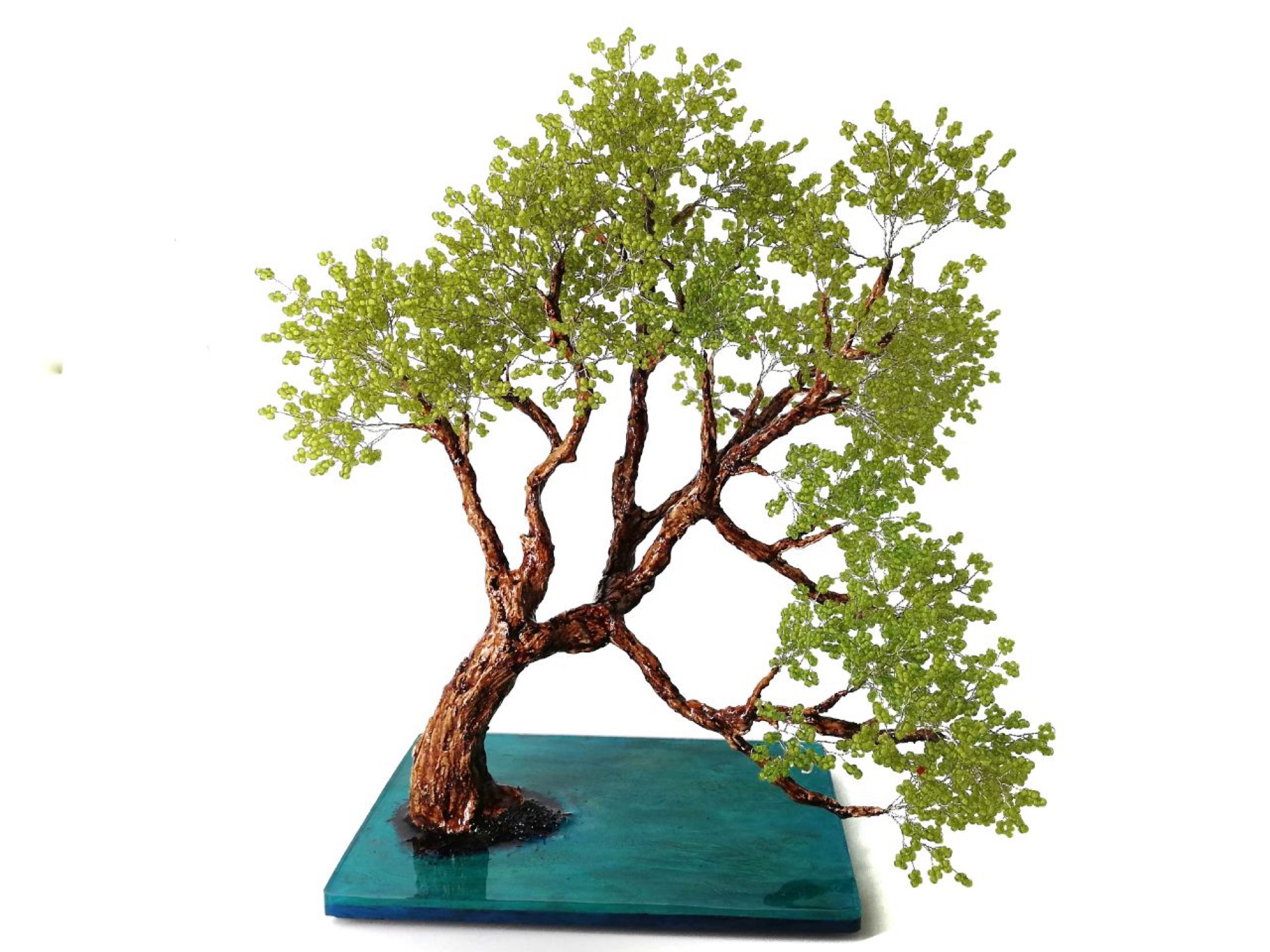 Pine · Evergreen